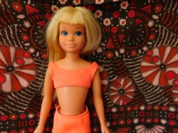 skipper blonde tnt bend 2 a